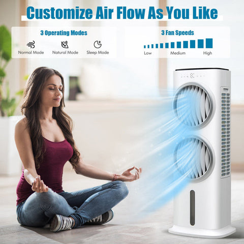 Daniela | 3-in-1 Evaporative Cooler with Remote Control & Timer | Efficient Airflow for Personalized Comfort 1