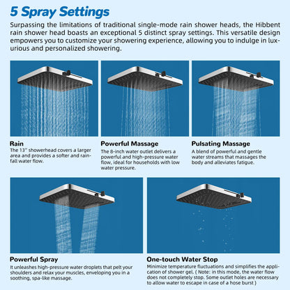13-Inch 5-Jet Fixed Shower Head Combo | 10-Mode Handheld, 12-Inch Extension Arm, 4-Way Diverter, 71-Inch Hose