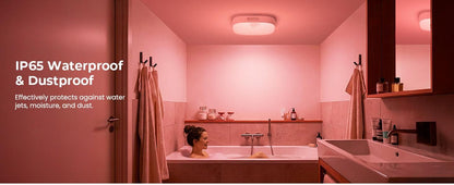 IP65 Waterproof Motion Sensor Ceiling Light with 10000mAh Battery and RGB Colors