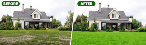 15-Spike Manual Lawn Aerator | Heavy-Duty Iron Soil Aeration Tool