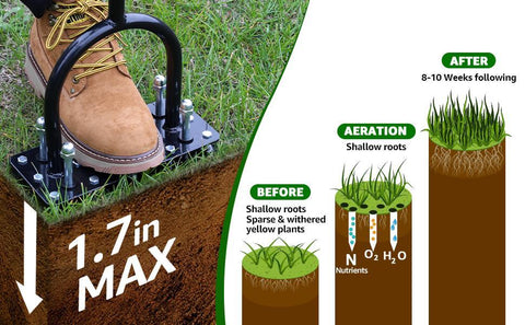 15-Spike Manual Lawn Aerator | Heavy-Duty Iron Soil Aeration Tool